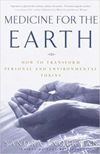 Medicine for the Earth by Sandra Ingerman by Sandra Ingerman