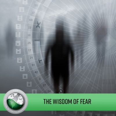 The Wisdom of Fear - Embracing the Elephant in the Room Human Design Courses