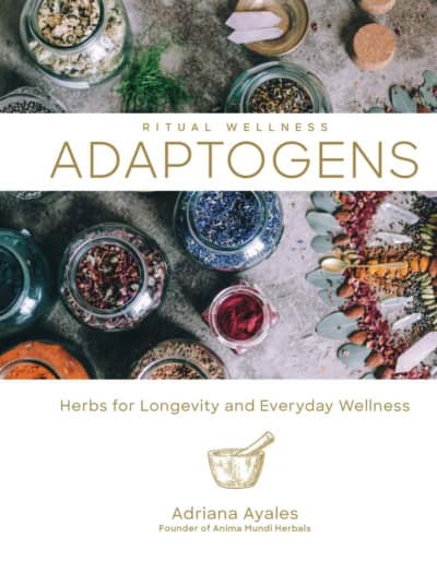 Adaptogens: Herbs for Longevity and Everyday Wellness 