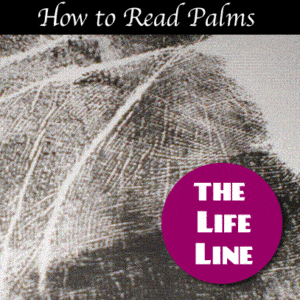 How to Read Palms Understanding the Lifeline of the Palm