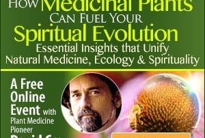 The Shift Network Presents: Free Online Event with DavidCrow