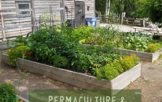 Permaculture-and-Edible-Gardens