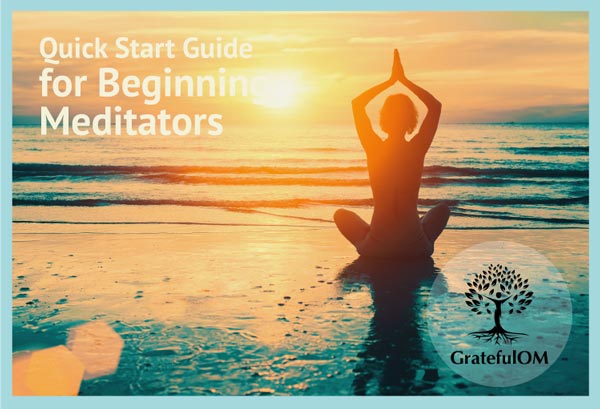 Get instant access to Deborah's Quick Start Guide for Beginning Meditators