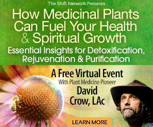 Free Online Event with David Crow