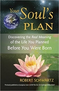 Book Review: Your Soul's Plan by Robert Schwartz