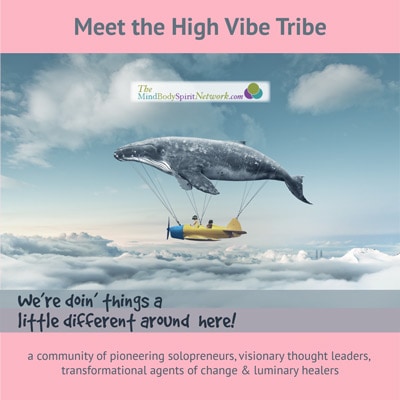 Meet the High Vibe Tribe a Powerful Online Community of Conscious service providers