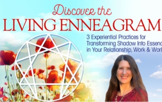 Discover the Living Enneagram 3 Experiential Practices for Transforming Shadow Into Essence in Your Relationship, Work and World.
