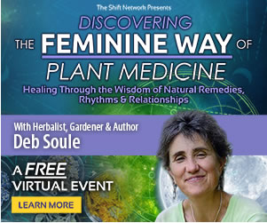 Discovering the Feminine Way of Plant Medicine with Deb Soule