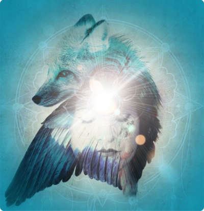 Discovering the Heart of Shamanic Perception FREE Onlien Event with shamanism teachers Sandra Ingerman and Evelyn Rysdyk