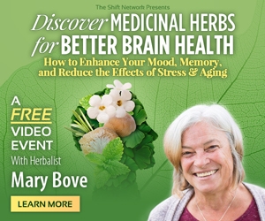 Better Brain Health FREE Webinar with Mary Bove