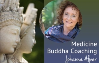 Holistic Business Coaching with Johanna Alper of Medicine Buddha Coaching