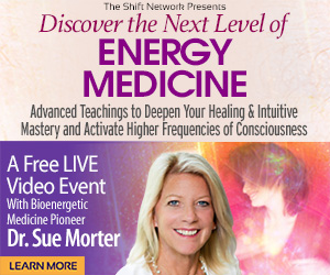 The Energy Codes Discover Next Level Energy Medicine with Dr. Sue Morter