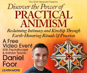 Discover the Power of Practical Animism with Daniel Foor
