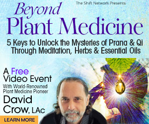 Attune to the energies in your body and in plants for truly holistic healing with David Crow