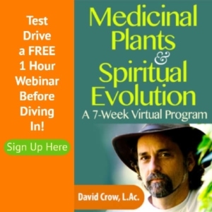 How Medicinal Plants Can Fuel Your Spiritual Evolution: Essential Insights that Unify Natural Medicine, Ecology & Spirituality.