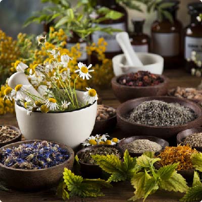 How medicinal plants can fuel your spiritual evolution