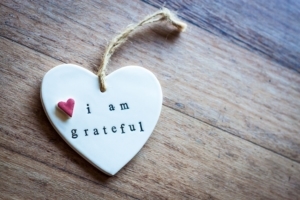 Law of Attraction Tip #5 for how to manifest your deams- embrace gratitude
