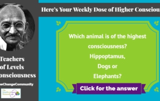Your Weekly Dose of Higher Consciousness & Animals