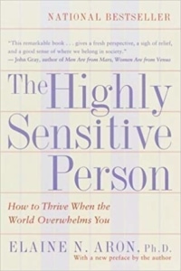 National Best Seller The Highly Sensitive Person by Elaine N. Aron Ph.D.