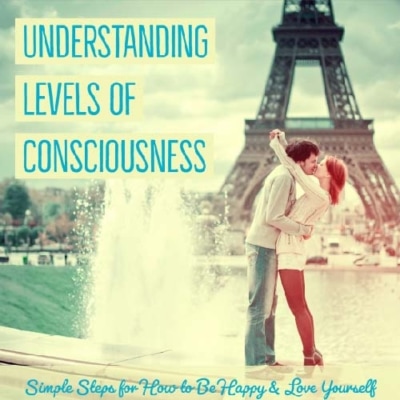 Consciousness Leadership Making Understanding Levels of Consciousness Fun and Easy