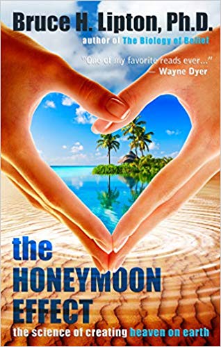 The Honeymoon Effect by Bruce H. Lipton PhD