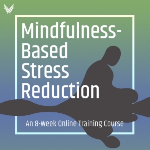 The Mindfulness Based Stress Reduction Training Program