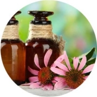 Online Directory of Naturopaths