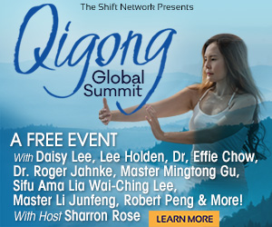 Qigong Gllobal Summit Presented by The Shift Network