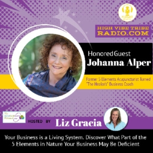 Interview Podcast with Johanna Alper The Healer's Coach