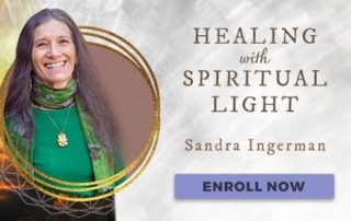 Transfigure and Transform Your Toxic Thoughts with Sandra Ingerman