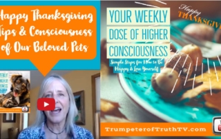 Happy Thanksgiving Consciousness Tips for a Happy & Meaningful Thanksgiving Celebration