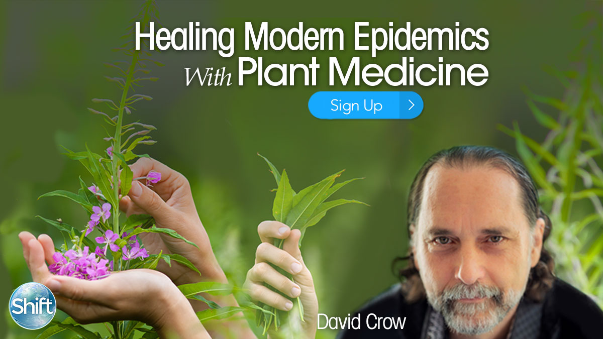 Healing Modern Epidemics with Plant Medicine with Clinical Herbalist David Crow (November 2019 – January 2020)