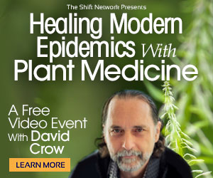 Learn how to think like a clinical herbalist to help heal chronic conditions