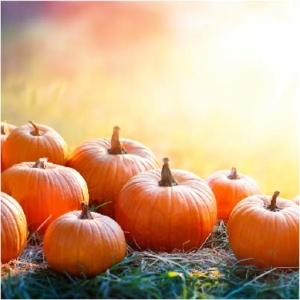 Meaningful Thanksgiving Day Quotes and Toasts