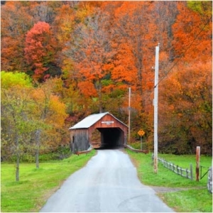 Over the river and through the woods Thanksgiving Toasts and Quotes