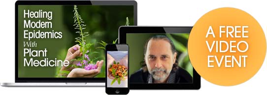 Discover how to apply plant medicine safely and effectively for deeper healing