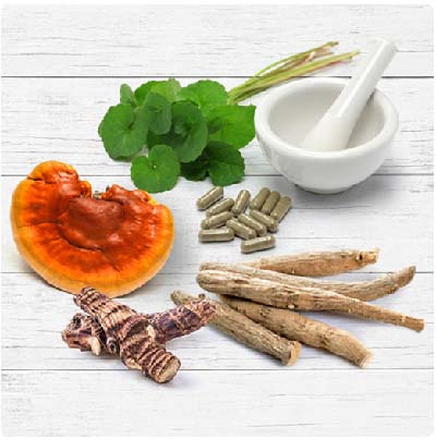 Ayurvedic Herbs for Anti Aging and a Vibrantly Healthy Life