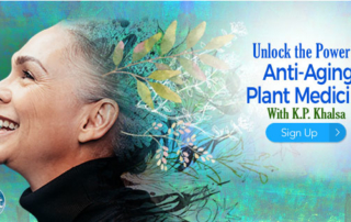 Discover How Ayurvedic Herbs & Herbal Remedies Can Help You Dramatically Live Healthier Longer