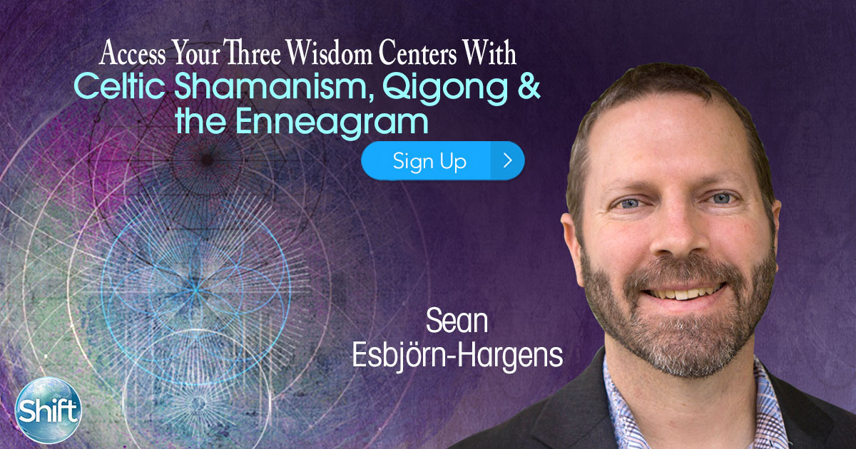 Access Your Three Wisdom Centers With Celtic Shamanism, Qigong & the Enneagram with Sean Esbjörn-Hargens (January – February 2020)
