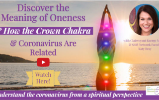 The Meaning of Oneness as it Relates to the Chakra System, the Crown Chakra and the Corona Virus