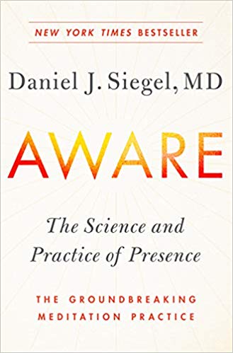 Aware-The Science and Practice of Presence--The Groundbreaking Meditation Practice by DR. Dan Siegel