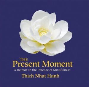 The Present Moment A Retreat on the Practice of Mindfulness by Thich Nhat Hanh