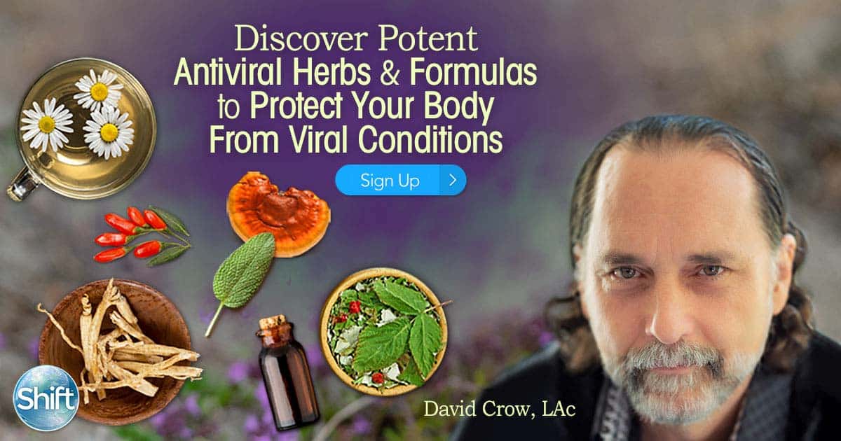 Discover Potent Antiviral Herbs & Formulas to Protect Your Body From Viral Conditions with David Crow April - May 2020