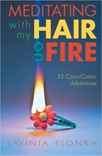 Meditating With My Hair On Fire by Lavinia Plonka