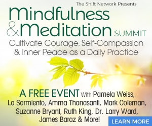 Mindfulness and Meditation Summit 2020 presented by The Shift Network