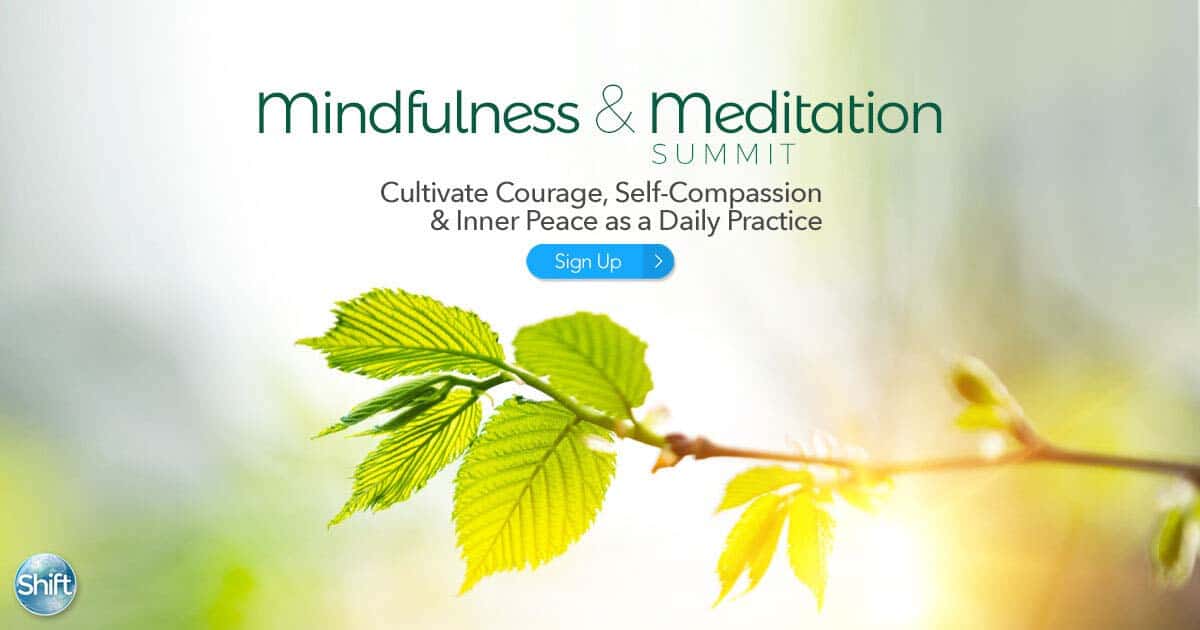 Discover the Mindfulness and Meditation Summit 2020 presented by The Shift Network