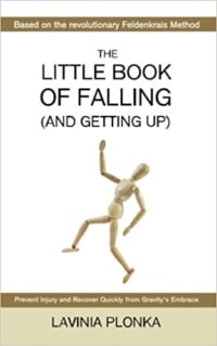 The Little Book of Falling (and Getting Up) by Lavinia Plonka