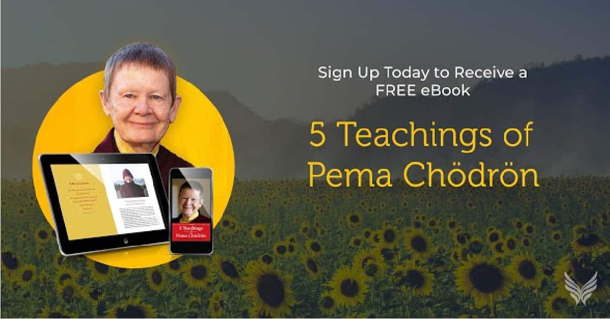 5 Teachings of Pema Chodron a FREE E-Book