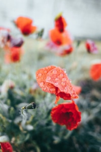 Cultivate self -understanding and how to love yourself first as an HSP