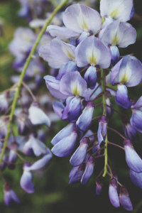 Learn how to love yourself as a highly sensitive person